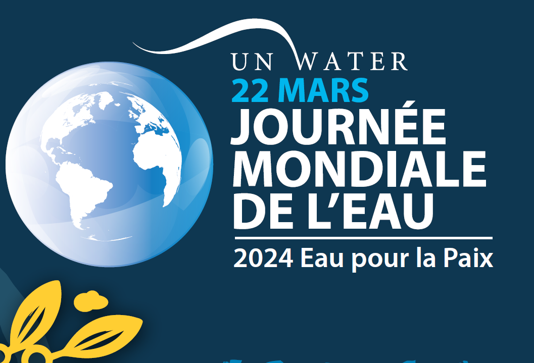 Giornata mondiale dell'acqua 2024